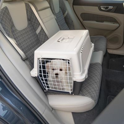Ferplast Cage de transport en plastique Ferplast ATLAS 20 ATLAS EL