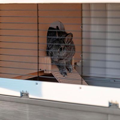 Ferplast Clapier à lapin en résine thermoplastique à deux GRAND LODGE