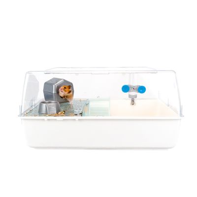 Ferplast Cage pour rongeurs FERPLAST MINI DUNA HAMSTER : MINI DUNA