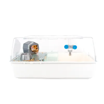 Ferplast Cage pour rongeurs FERPLAST MINI DUNA HAMSTER : MINI DUNA Ferplast Cage pour rongeurs FERPLAST MINI DUNA HAMSTER : MINI DUNA