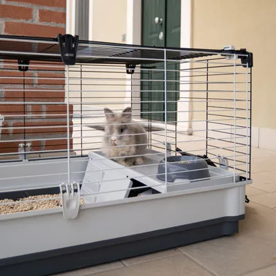 Cage pour Lapins Krolik L/XL Maison de Lapins Animaux Multicolore