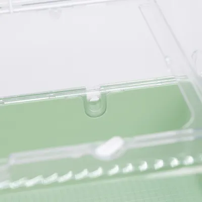 Ferplast Cage pour rongeurs FERPLAST MINI DUNA : Convient MINI DUNA MULTY