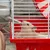 Cage pour Hamster Coney Island Maison de Rongeurs Multi-taille