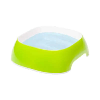 Ferplast Gamelle en plastique pour chiens et chats. GLAM