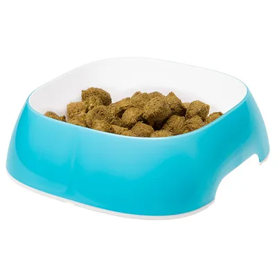 Ferplast Écuelle en plastique pour chiens et chats. GLAM
