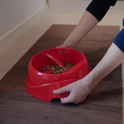 Ferplast Ecuelle anti-glouton pour chiens. Différentes MAGNUS SLOW