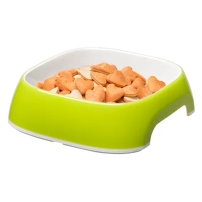 Ferplast Gamelle en plastique pour chiens et chats. GLAM
