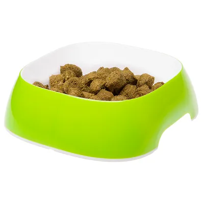 Ferplast Gamelle en plastique pour chiens et chats. GLAM