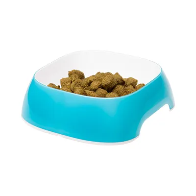 Ferplast Gamelle en plastique pour chiens et chats. GLAM