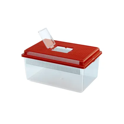 Ferplast Conteneur pour poissons, reptiles, insectes ou GEO FLAT SMALL