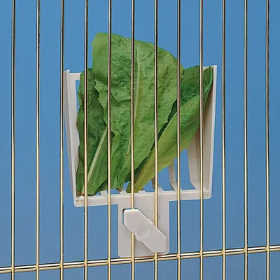 Ferplast Mangeoire à légumes pour canaris, petits oiseaux Conteneur pour