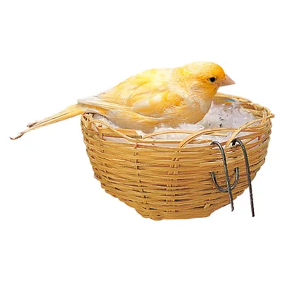 Ferplast Nid en osier pour canaris, petits oiseaux et Nid PA 4455