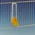 Ferplast Abreuvoir pour canaris et autres petits oiseaux  UNIVER 4550 -