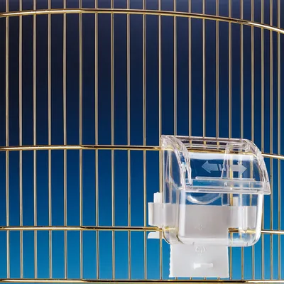 Ferplast Mangeoire en plastique transparent pour canaris, Mangeoire FPI