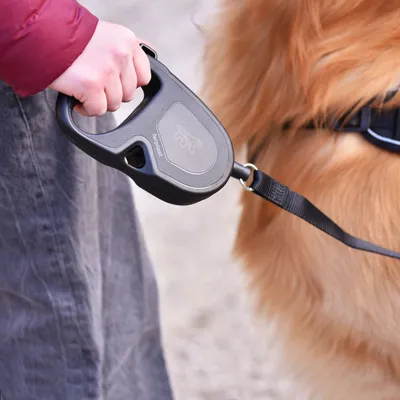 Ferplast Laisse extensible avec corde extensible pour FLIPPY ONE CORD