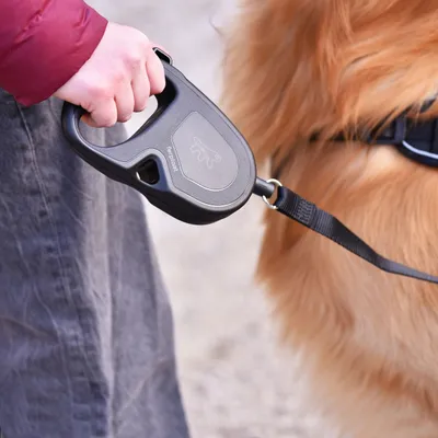 Ferplast Laisse extensible avec corde extensible pour FLIPPY ONE CORD