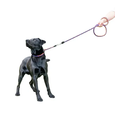 Ferplast Laisse de dressage pour chiens avec mousqueton TWIST MATIC GA Ferplast Laisse de dressage pour chiens avec mousqueton TWIST MATIC GA