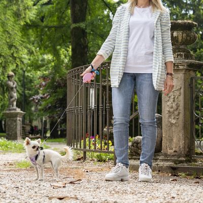Ferplast Laisse extensible avec corde extensible pour FLIPPY ONE CORD