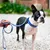 Ferplast Laisse réfléchissante pour chiens avec mousqueton CLUB REFLEX G Ferplast Laisse réfléchissante pour chiens avec mousqueton CLUB REFLEX G