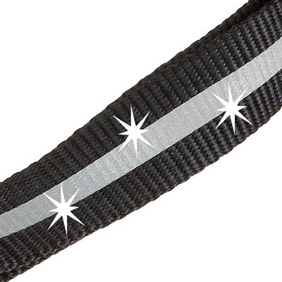 Ferplast Laisse réfléchissante pour chiens avec mousqueton CLUB REFLEX G