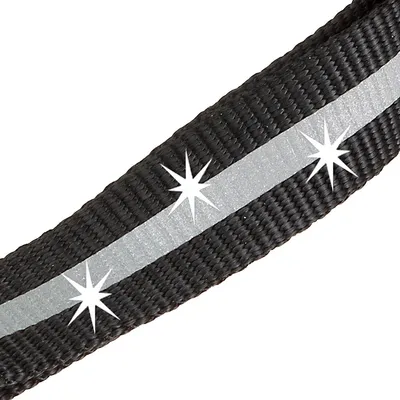 Ferplast Laisse réfléchissante pour chiens avec mousqueton CLUB REFLEX G Ferplast Laisse réfléchissante pour chiens avec mousqueton CLUB REFLEX G