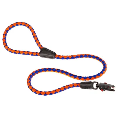 Ferplast Laisse pour chiens avec mousqueton automatique. TWIST MATIC G