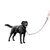 Ferplast Laisse pour chiens avec mousqueton automatique. TWIST MATIC G