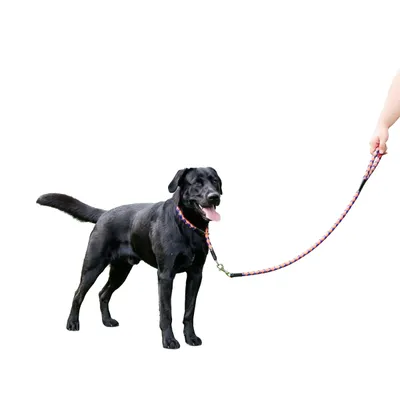 Ferplast Laisse pour chiens avec mousqueton automatique. TWIST MATIC G