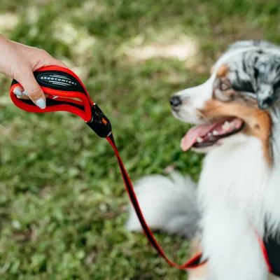 Ferplast Laisse en nylon avec poignée ergonomique - en ERGOCOMFORT G