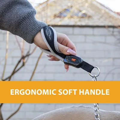 Ferplast Laisse avec poignée ergonomique et chaîne en métal ERGOCOMFORT