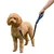 Ferplast Laisse pour chiens avec mousqueton innovant ERGOFLUO MATIC