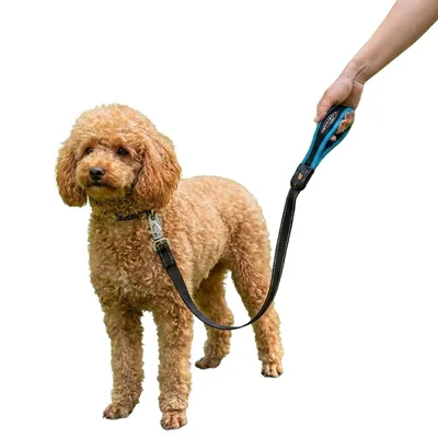 Ferplast Laisse pour chiens avec mousqueton innovant ERGOFLUO MATIC