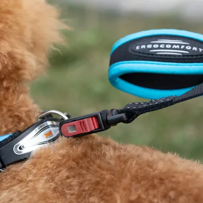 Ferplast Laisse pour chiens avec mousqueton innovant ERGOFLUO MATIC