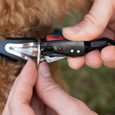 Ferplast Laisse pour chiens avec mousqueton innovant ERGOFLUO MATIC