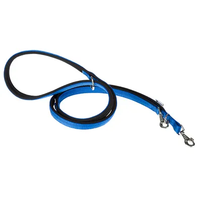 Ferplast Laisse en nylon pour le dressage des chiens. DAYTONA GA