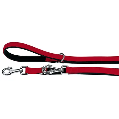 Ferplast Laisse en nylon pour le dressage des chiens. DAYTONA GA