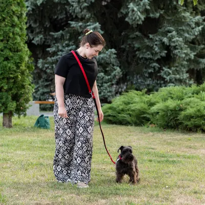 Ferplast Laisse en nylon pour le dressage des chiens. DAYTONA GA