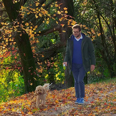 Ferplast Laisse rétractable avec cordon. 4 tailles et large choix de