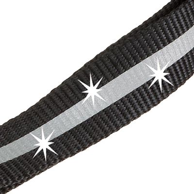 Ferplast Laisse réfléchissante pour chiens avec mousqueton CLUB REFLEX G