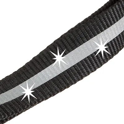 Ferplast Laisse réfléchissante pour chiens avec mousqueton CLUB REFLEX G