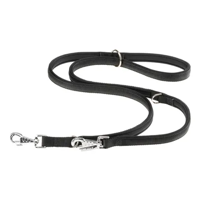 Ferplast Laisse en nylon pour le dressage des chiens. DAYTONA GA