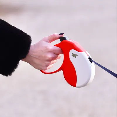 Ferplast Laisse rétractable avec bande extensible. 4 AMIGO TAPE