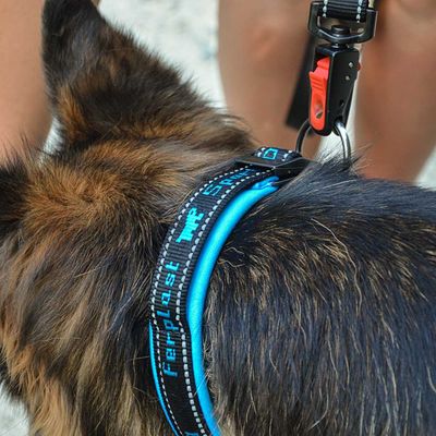 Ferplast Laisse pour chiens avec mousqueton automatique et SPORT DOG MATIC