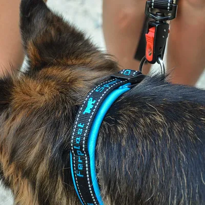 Ferplast Laisse pour chiens avec mousqueton automatique et SPORT DOG MATIC