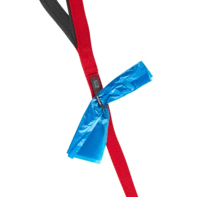 Ferplast Laisse en nylon avec poignée rembourrée. En DAYTONA G