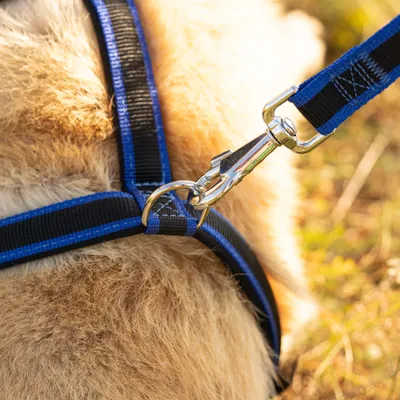 Ferplast Laisse en nylon avec rembourrage ergonomique - de ERGOCOMFORT G Ferplast Laisse en nylon avec rembourrage ergonomique - de ERGOCOMFORT G