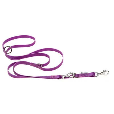 Ferplast Laisse en polyester et PVC pour le dressage des EVOLUTION GA