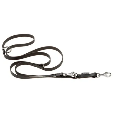 Ferplast Laisse en polyester et PVC pour le dressage des EVOLUTION GA Ferplast Laisse en polyester et PVC pour le dressage des EVOLUTION GA
