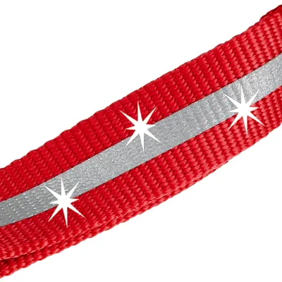 Ferplast Laisse réfléchissante pour chiens avec mousqueton CLUB REFLEX G