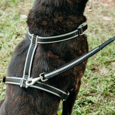 Ferplast Laisse pour chien avec extrémité élastique - 2 ERGOCOMFORT